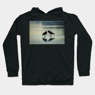 Two black oystercatchers silhouetted with orange beaks crossed, back-lit. Hoodie